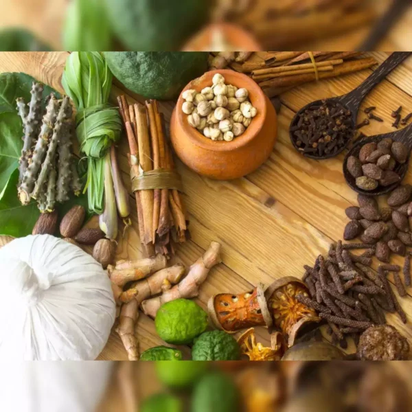 The Increasing Trend of Ayurveda in a Busy Lifestyle