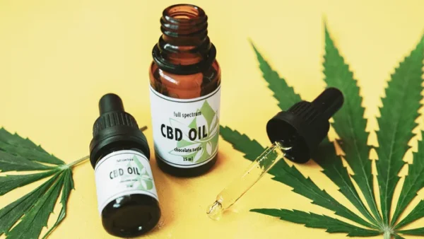 Top 10 CBD Trends Shaping the Wellness World